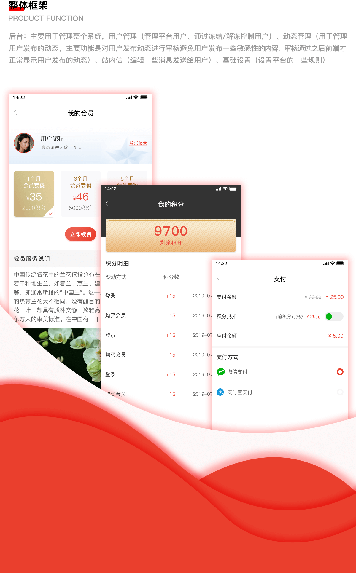 爱兰交流平台APP 武汉社交app开发